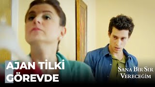Tilki Kamera Kayıtlarının Peşinde - Sana Bir Sır Vereceğim