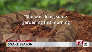 Getting Answers: How to keep yourself safe from copperhead snakes in central NC