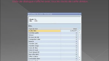 GU SAP R3 Affichage de la synthèse des stocks