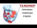 Как увеличить Теломер? Теперь мы с мужем хотим секс даже в 90!!!