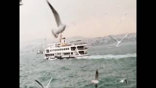BİR AYRILIK BİN VUSLAT Necati Yılmaz Yorum Derya Can Fon bethoven