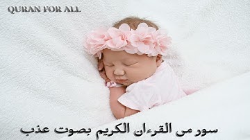 القارئ سعيد دباح سورة النورأجمل تلاوة القرآن الكريم في العالم  Said Debbah  #SuratAlNur  #سورةالنور