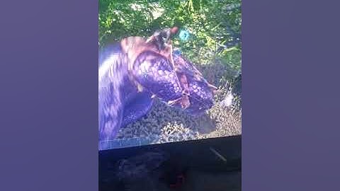 How to summon basilisk in ARK