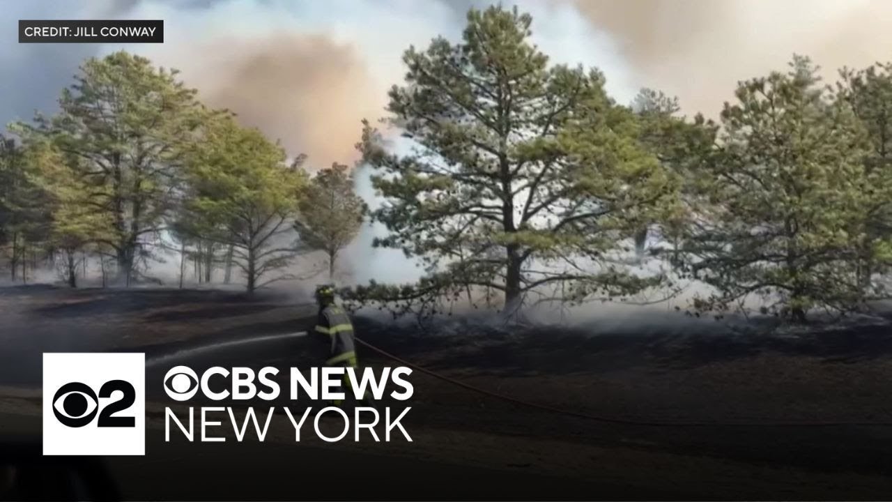 Long Island brush fires prompt state of emergency