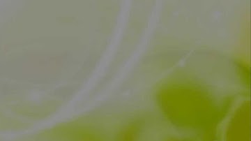 How to convert dvd and video to ipod/iphone/psp