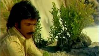 Ferdi Tayfur Bekledim Durdum