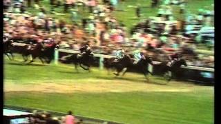 1971 Derby Stakes