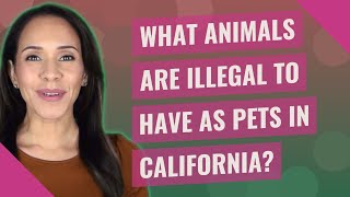 What animals are illegal to have as pets in California