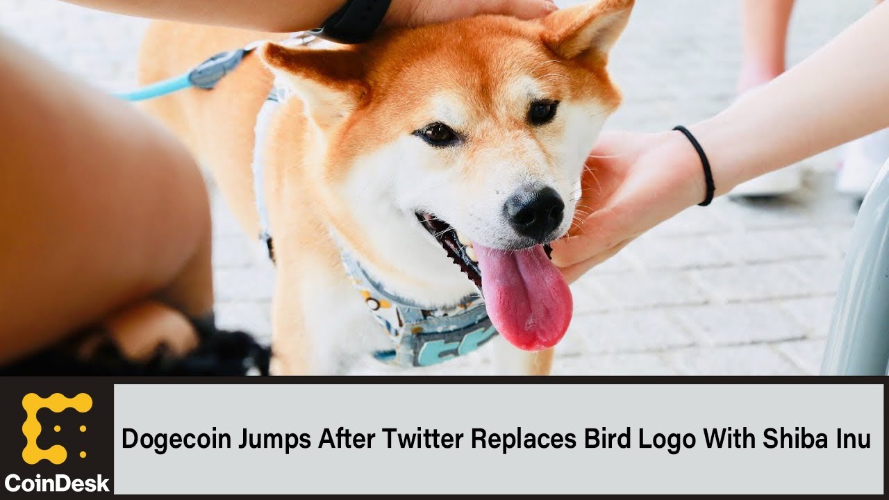Dogecoin Jumps After Elon Musk Replaces Twitter Bird Logo With Shiba Inu