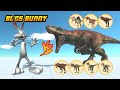 BUNNY vs ALL UNITS (Carnivore Dinosaurs) - Animal Revolt Battle Simulator Dinosaurs