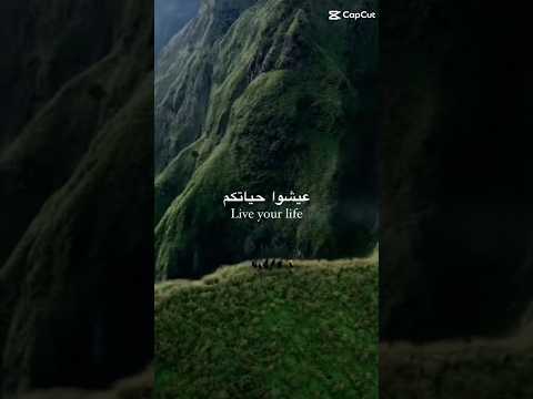 فعسى إن تكرهوا شيئا ويجعل الله في خيرا كثيرا