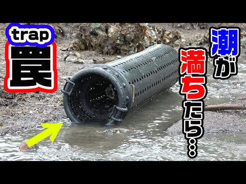 Trap] This contains a giant wild eel. - YouTube