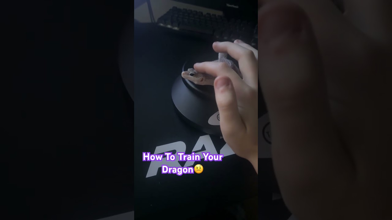 Pearl has come a long way and i cant wait to pair her and Toothless 