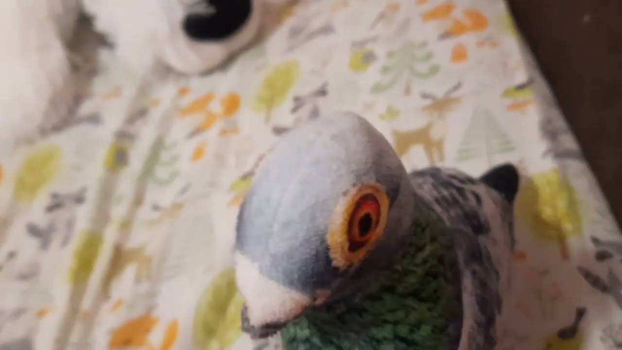 7 марта 2026 г.