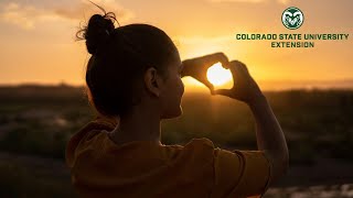 D-Coding Vitamin D: Are you getting enough in your diet?
Learn about the function of vitamin D in the body and its impacts on health.
Presented by James Peth MS, MPH, PhD, Assistant Professor in the Department of Food Science and Human Nutrition.
This webinar is part of the Everyday Nutrition for Health series, co-hosted by the CSU Food Science and Human Nutrition (FSHN) Extension team and CSUs Department of Food Science and Human Nutrition. D-Coding Vitamin D: Are you getting enough in your diet?