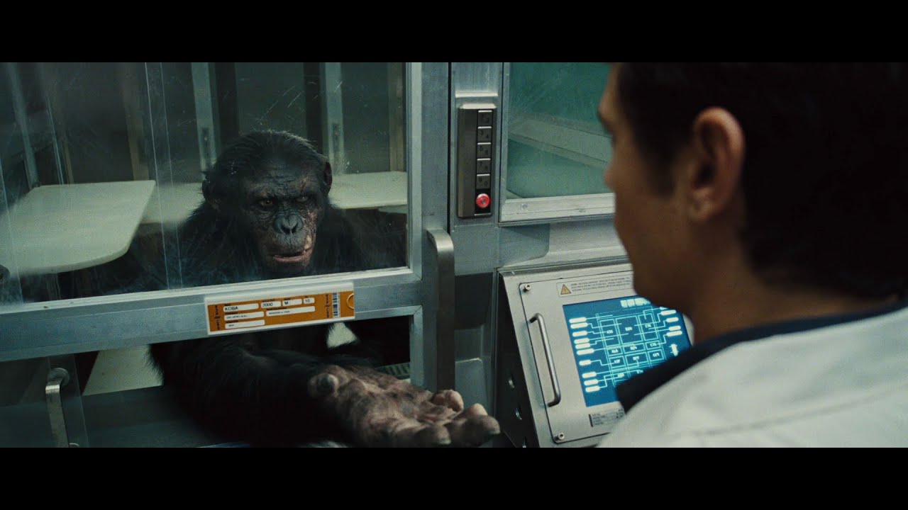 ROTPOTA In SB Harry Theopolis Osborn (LA) Meet Koba