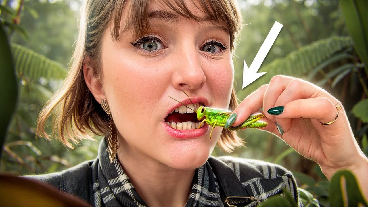 Manger des insectes, une bonne idée ?