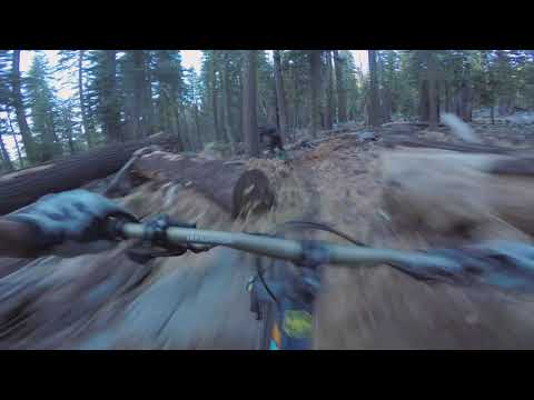 A Few Minutes With Spherical Tree House Builder Tom