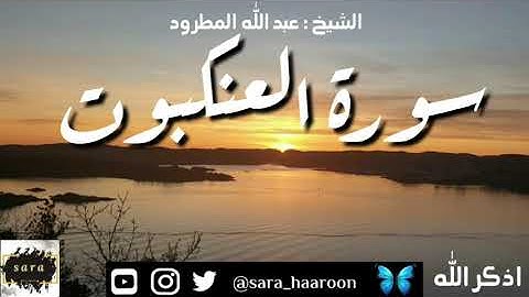 سورة العنكبوت بصوت الشيخ عبد الله المطرود بجودة عالية (29)