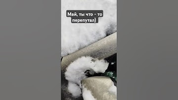 это что такое? 🥶 #retro #music #live