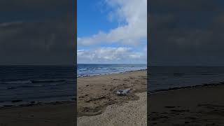  Au 2 Days On The Ulverstone Beach  Tasmania Australia beach tassie aussie
