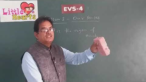 CLASS 4  EVS LESSON 3 OUR SENSES ONLINE VIDEO