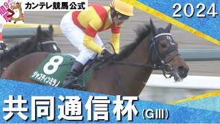 ジャスティンミラノメイクデビュー ジャスティンミラノメイクデビュー （ジャスティン の競走馬情報