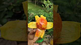 New style mango masala 🥭🤤#mango #fruit #viral 😱😱😱