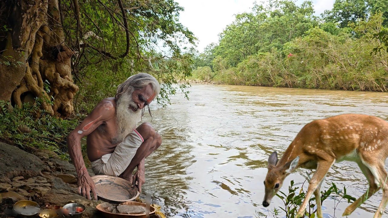 Chitrakoot मंदाकिनी नदी के किनारे सिद्ध संत महावीर बाबा कर रहे तपस्या// लोगो का कल्याण 