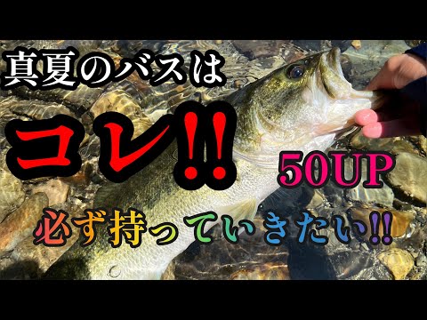 リザーバーバス釣り】夏のリザーバーにはこのルアー‼︎王道がやっぱり