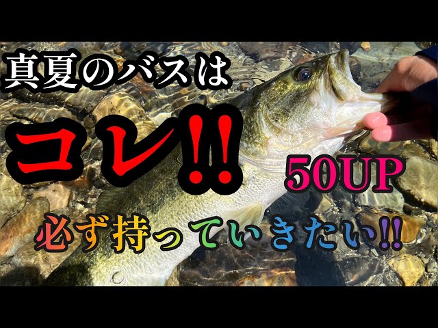 Basser バサー 2009 年 6 月 210 バスフィッシング バス釣り バックナンバー
