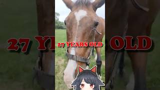 Fine Motion Gets to Enjoy a Relaxed Retirement of Doing Grazing ASMR