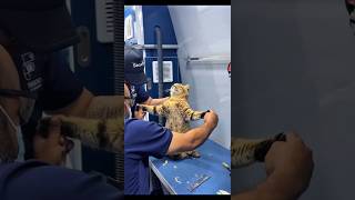 short rare footage 15.