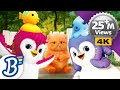 Get The Pet Wet Pets Playtime Nursery Rhymes ABC Songs Kids Toddler Songs Lullabies