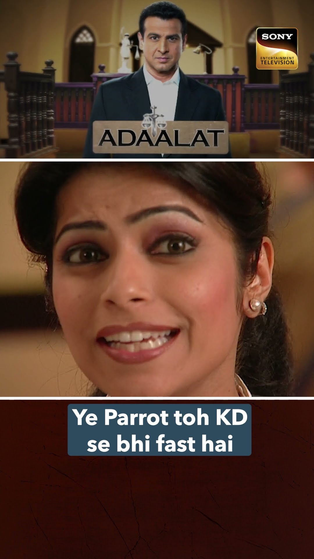 Parrot तो smart निकला   #Shorts #Adaalat #KD #Parrot #Case