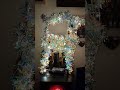 Rendier Met Led