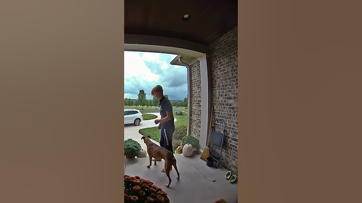 Boy And Brave Dog Check Out Lightning Storm