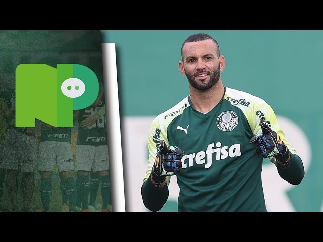 Everton melhor goleiro do Brasil #palmeiras #palestra #futebol #memest