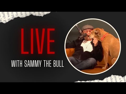 🔴 LIVE 🔴 Stories from #SammyTheBull 