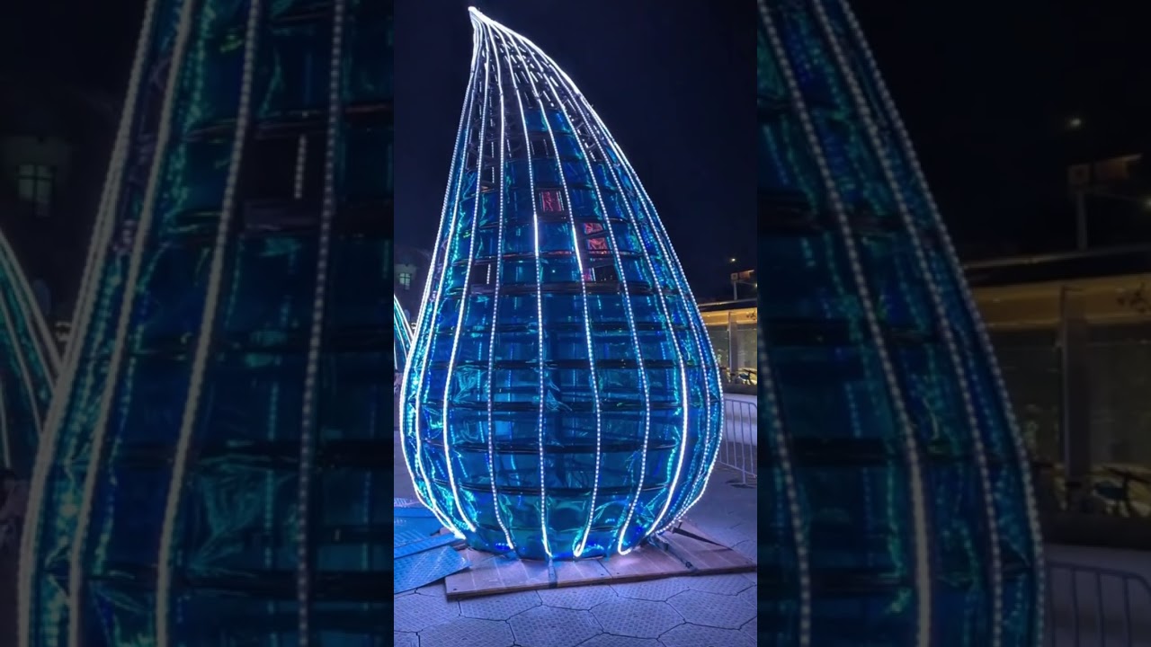 VIVID 2025 - HIGHLIGHTS