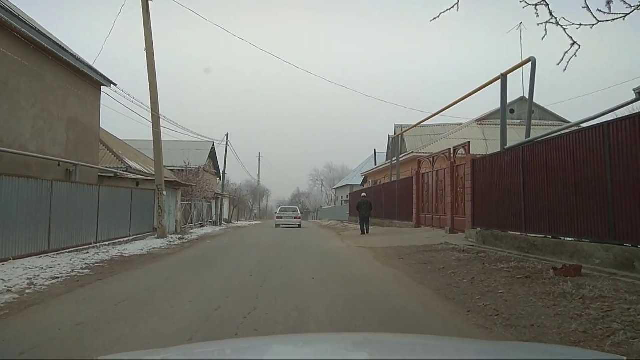 Казахстан сарыагач