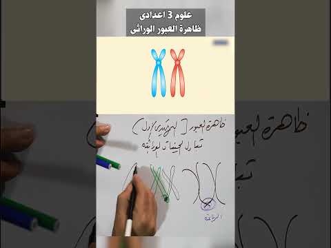 علوم تالتة اعدادي ظاهرة العبور الوراثى الطور التمهيدي الأول