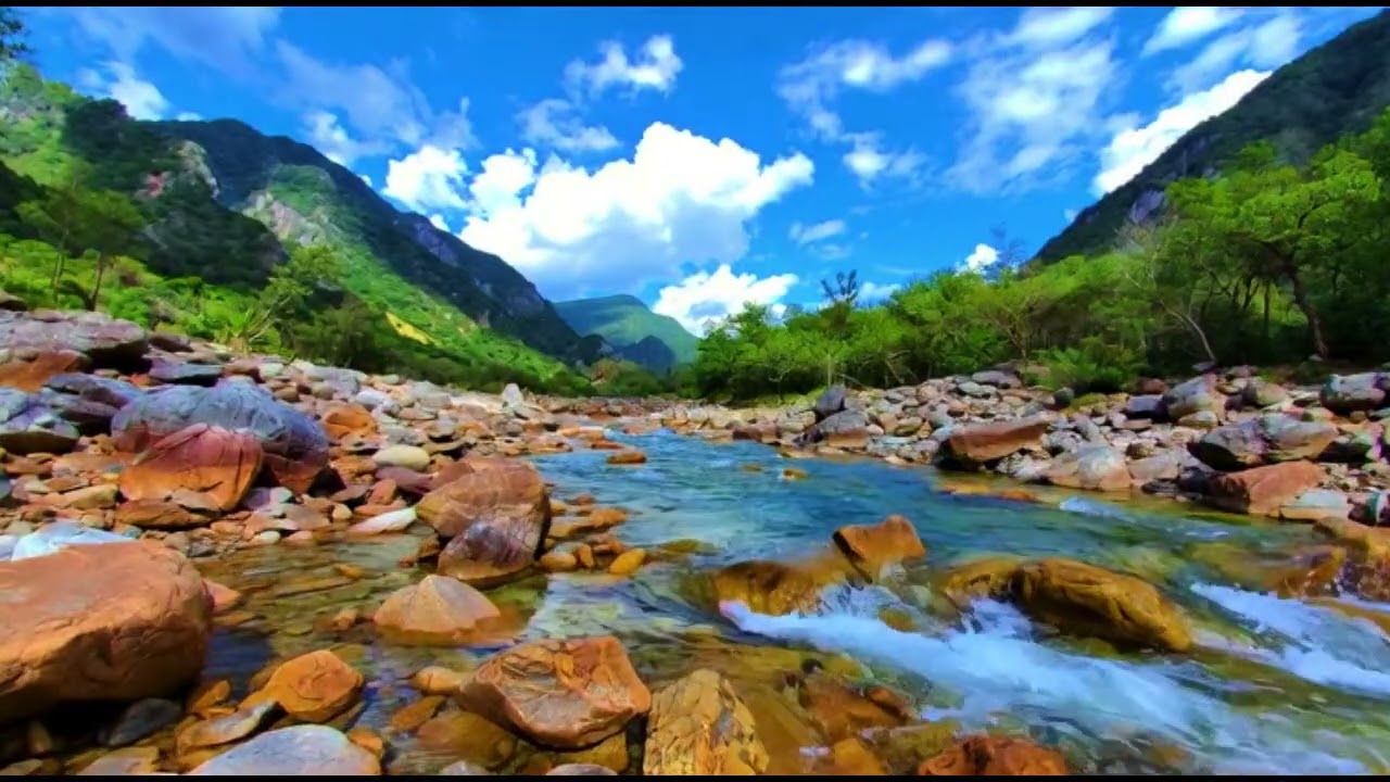 Gentle Wind Sounds Stress Relief - Magical Forest Brook. Pure Water Sounds for Instant Relaxation.