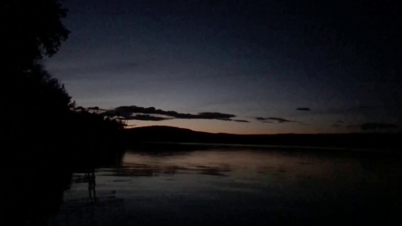 Bats on Charlie Lake, BC (slow motion) YouTube