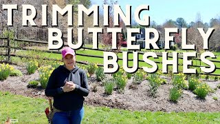 Step-by-Step Guide: How To Prune Butterfly Bushes
