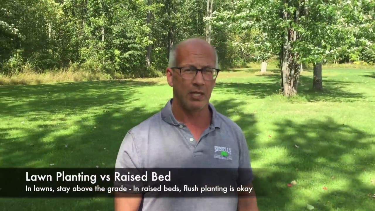 Russell's Tree & Shrub Farm - How to Plant a Tree 