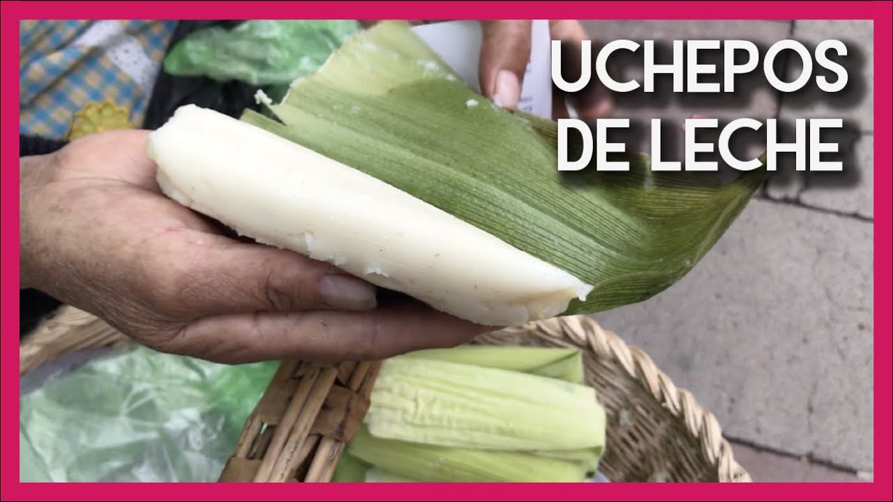 Uchepos o tamales de elote michoacanos - YouTube