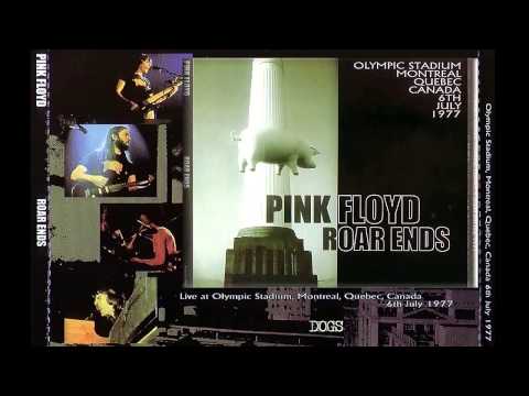 Pink Floyd -