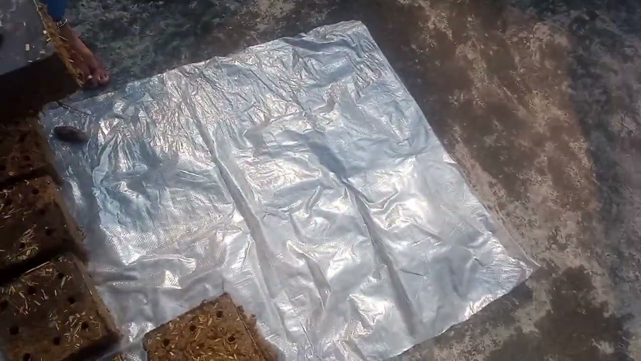 Gai gobar ru tiyari /jugad/innovation 