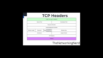 TCP Options #tcp #tcpip #header